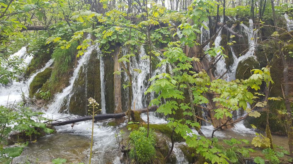 Wasserfall